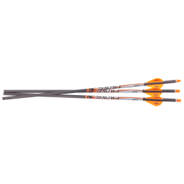 Ravin .001 Premium Match-Grade* Lighted Arrows